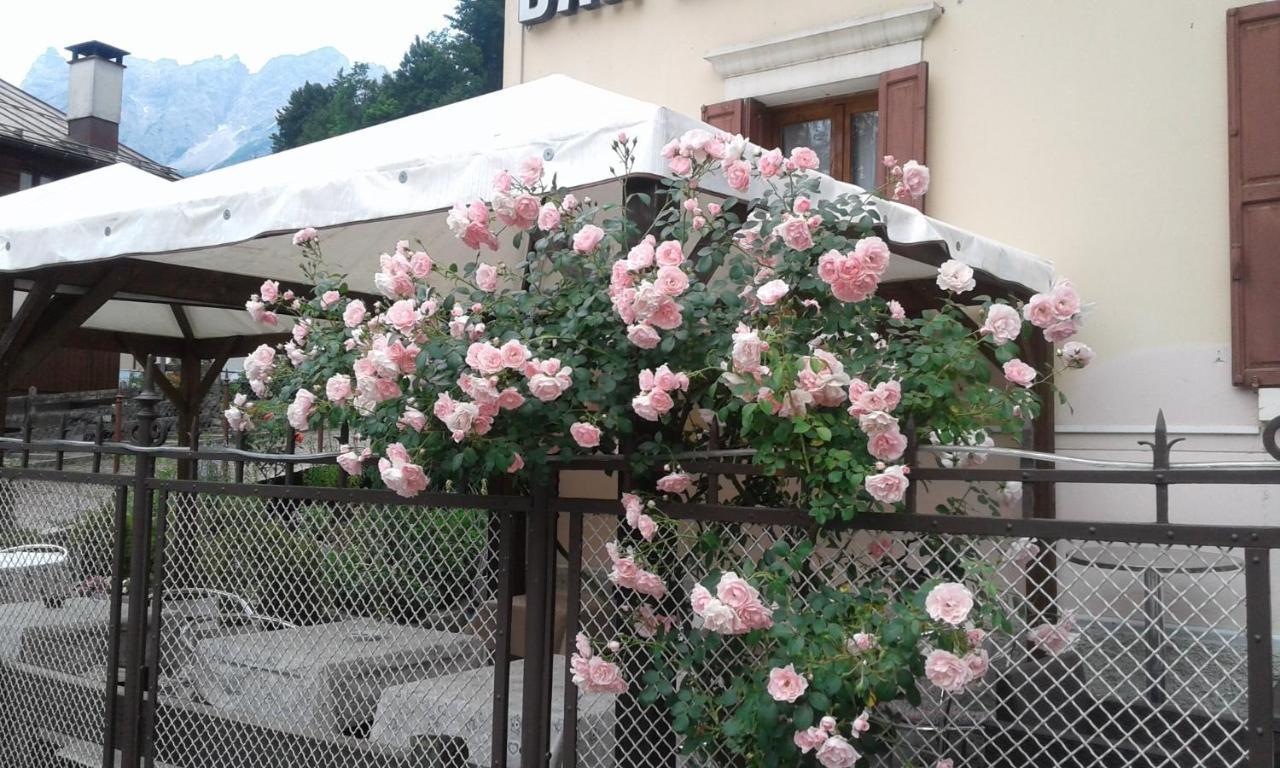 Hotel Brustolon Dont Buitenkant foto